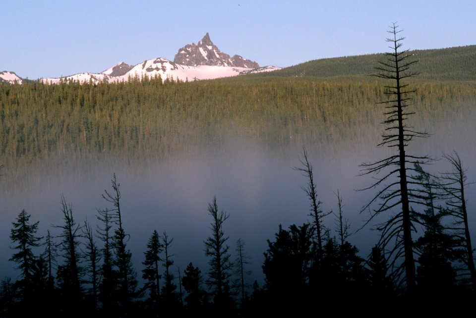 Forest Fog, Fremont-Winema National Forest