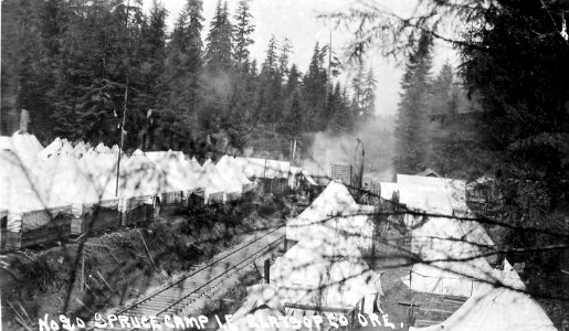 No. 20 Spruce Camp 1-F Clatsop Ore.