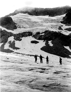 033475A Lyman Glacier, Okanogan NF, WA 1916