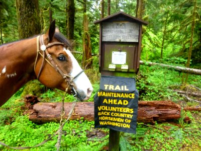 Horse by Trail Maintenance Sign-Olympic