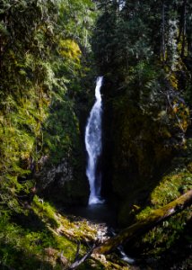 Pinard Falls, Umpqua National Forest photo