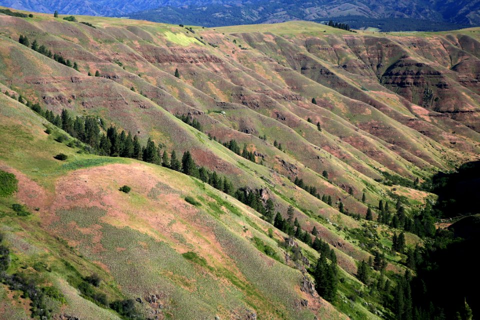 Grande Ronde River, Umatilla National Forest