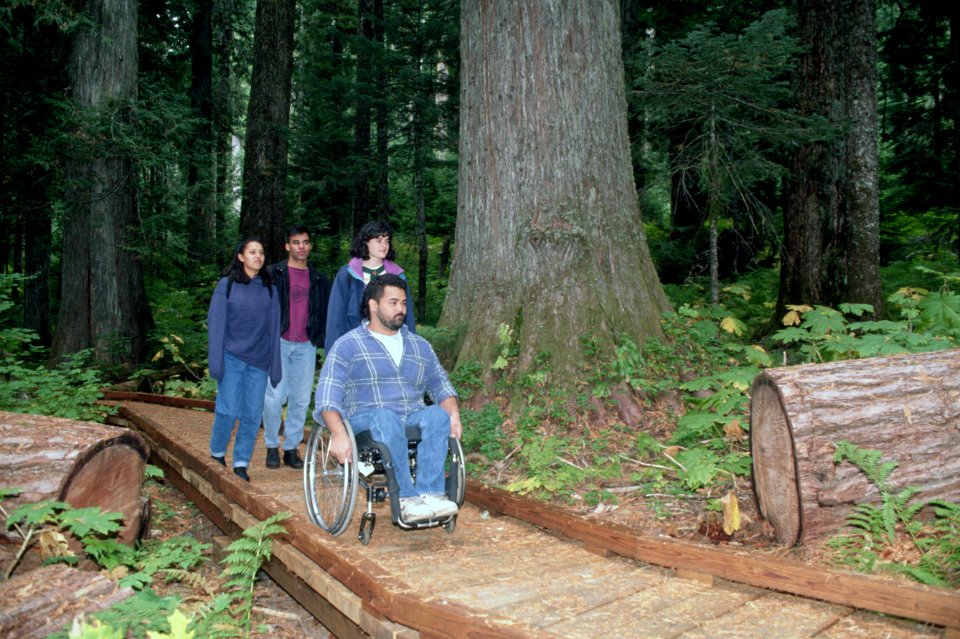 Hikers and wheelchair rider old growth forest trail Mt Hood National Forest.jpg