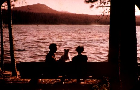388491 Suttle Lake FC, Deschutes NF