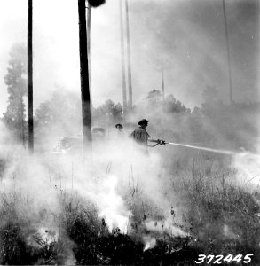 372445 CCC Fire Suppression, Angelina NF, TX 1938 photo