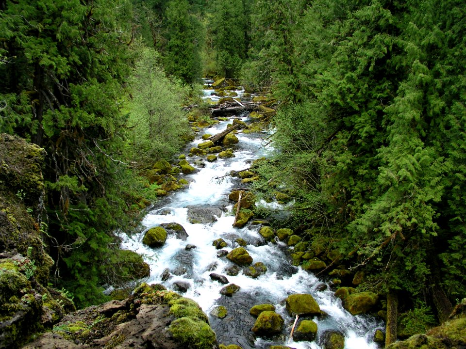 Upper McKenzie River Rapids, Willamette National Forest