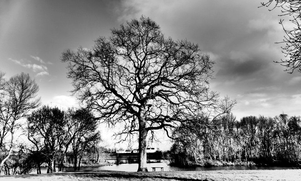Bords de Loire 03-03-2018 18-44-49