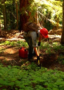 Willamette National Forest - Youth Conservation Corps Workers on Willamette-109