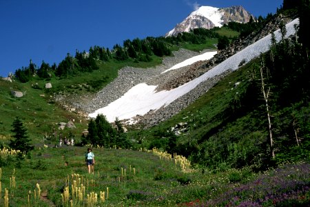 Hiking Ladd Canyon Timberline Trail, Mt Hood National Forest photo
