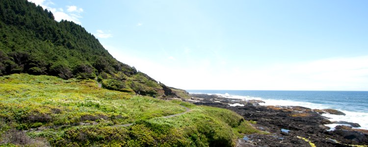 Cape Perpetua Tidal Pools and Trail, Siuslaw National Forest