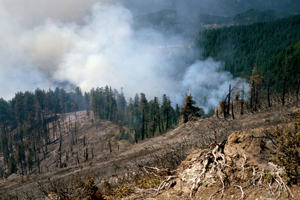 136 Rogue River-Siskiyou National Forest Biscuit Fire
