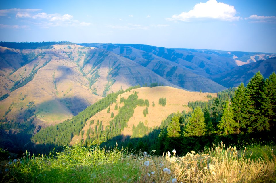 Cloud Shadows over Joseph Canyon, Wallowa Whitman National Forest