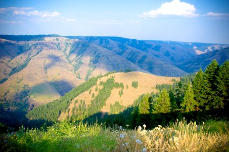 Cloud Shadows over Joseph Canyon, Wallowa Whitman National Forest photo