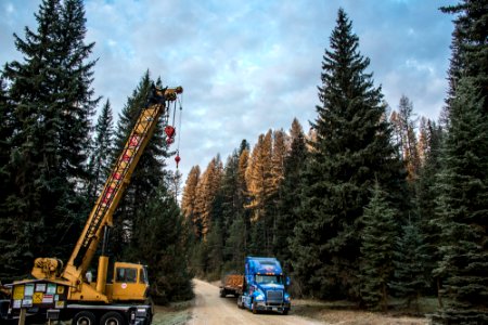 2013 Capitol Christmas Tree- Crane and Truck photo