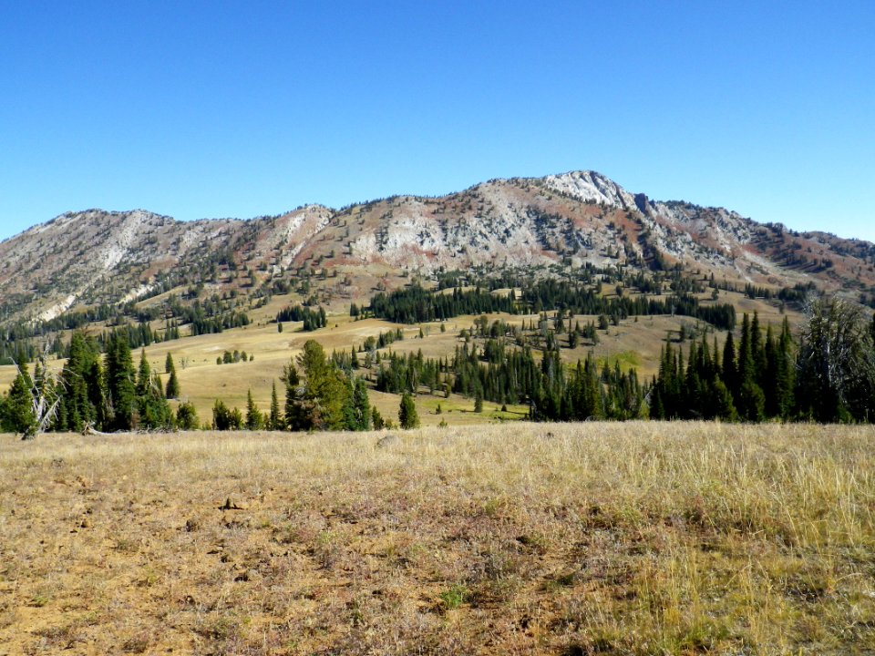 Cornucopia Peak, Wallowa-Whitman National Forest
