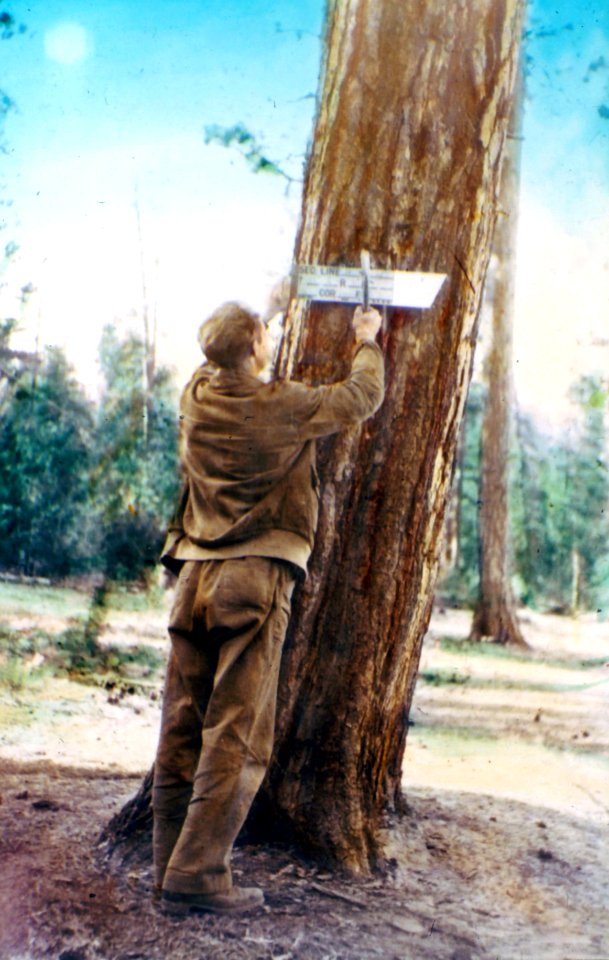 CCC Posting a Section Line, Colville NF