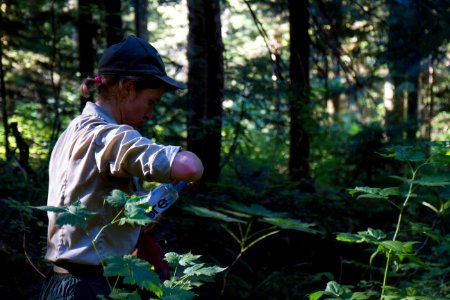 Female Ranger opening Water Bottle in Forest, Mt Baker Snoqualmie National Forest