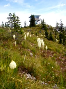 Salmo Lookout on the Colville National Forest photo