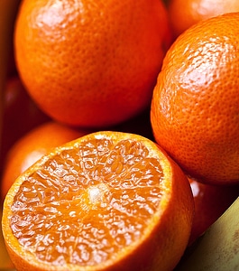 Cut fruit juice the richness of