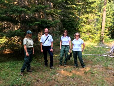 2018 Tree Team searches for the perfect Christmas tree