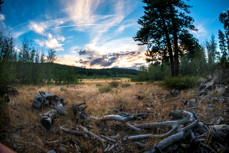 Logs on the Prairie at Sunset-Fremont Winema