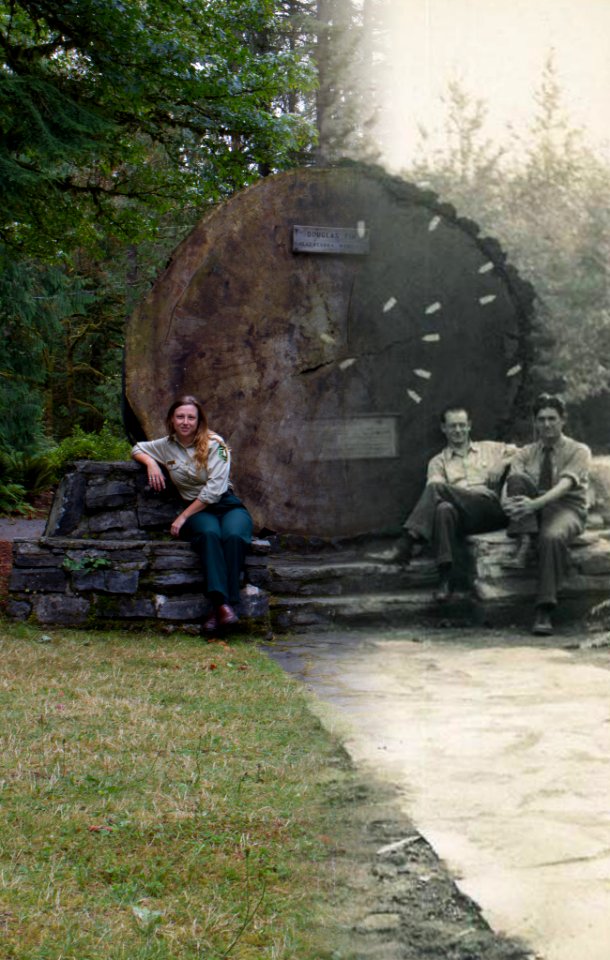 Future and Past at Glacier Park, Mt Baker Snoqualmie National Forest