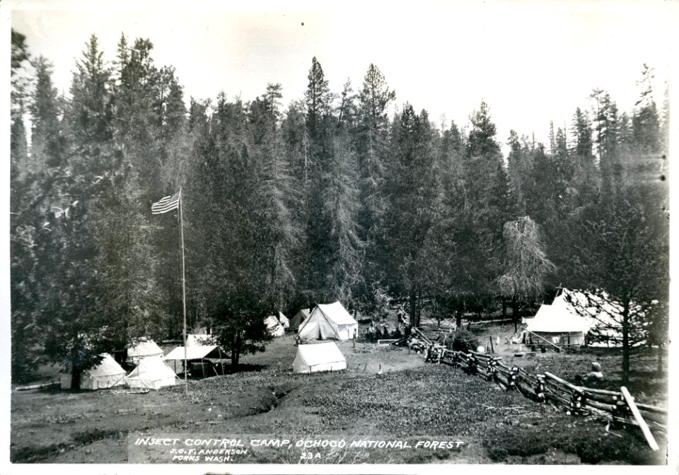 1930 Ochoco Insect Control