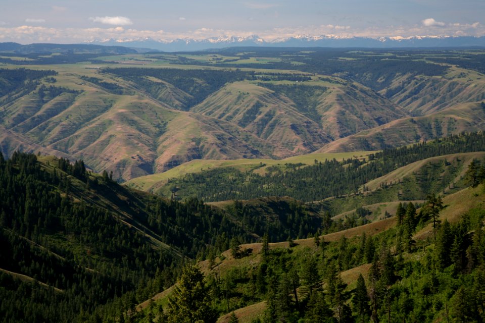 Grande Ronde River, Umatilla National Forest