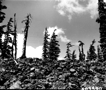 483590 Obsidian Trail Three Sisters Wilderness, Willamette NF, OR 1957 photo