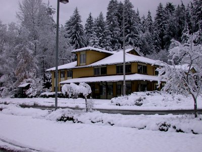 Snowy Lake Quinault Office, Olympic National Forest photo