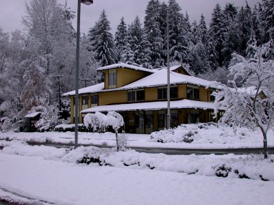 Snowy Lake Quinault Office, Olympic National Forest