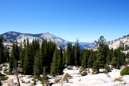 Yosemite National Park, California photo