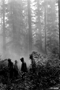 191026 Fire Fighting photo