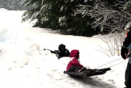 Children Sledding, Mt Hood National Forest