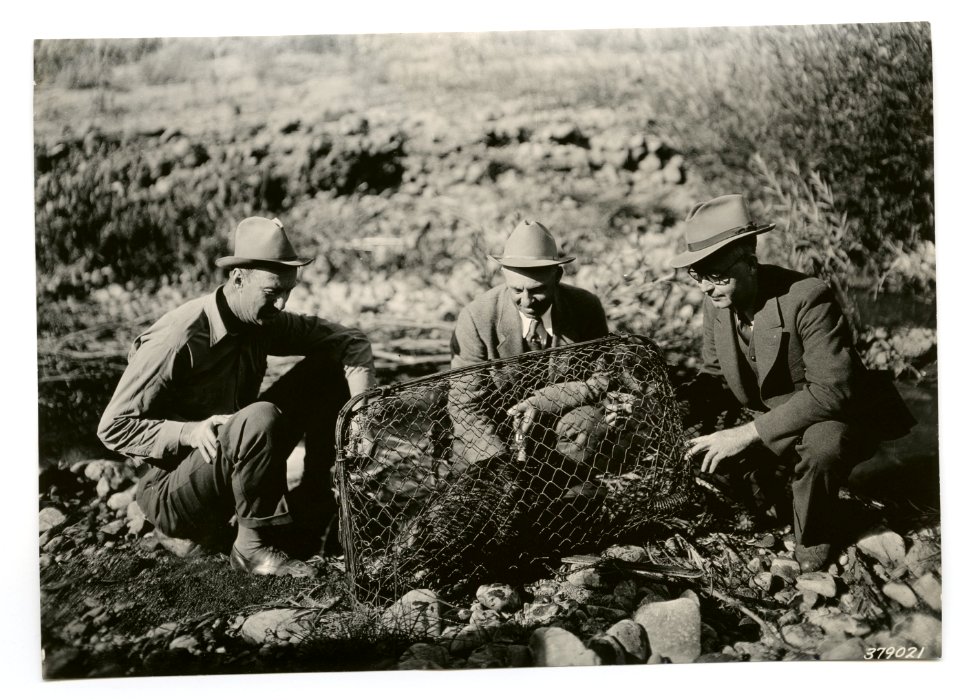 1936 Ochoco 08 25 Beaver 006
