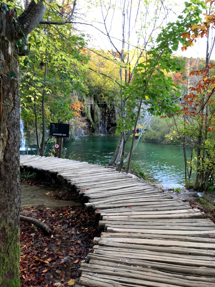 #Plitvicka jezera National park. It’s incredible. #Croatia. #十六湖國家公園 #克羅埃西亞
