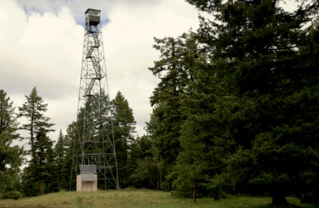 Tamarack Lookout Tower, Umatilla National Forest photo