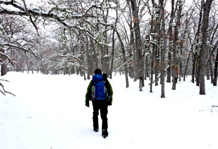 Hiker in snow photo