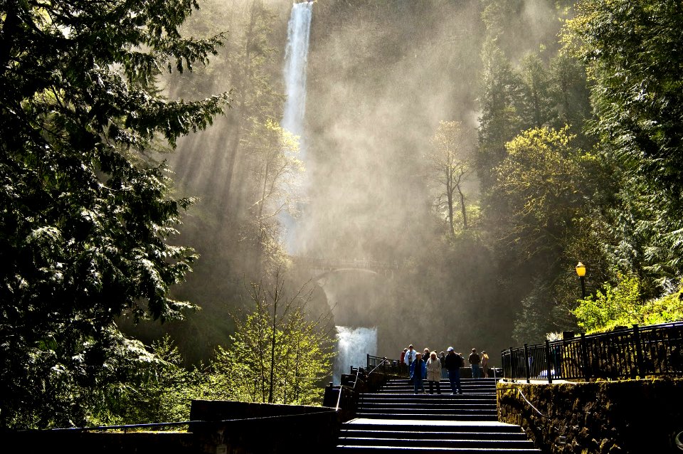 Multnomah Falls Viewing Area in Fog-Columbia River Gorge