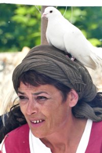 Fête Médiévale 2016 | Ville de Guérande