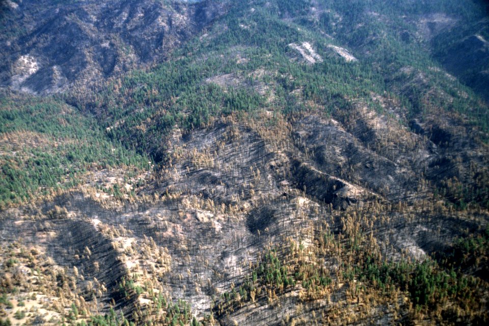 508 Mill Creek prescribed Natural fire , Ochoco National Forest