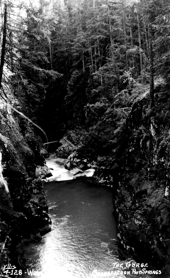4128 The Gorge, Ohrnapecosh Hot Springs - Ellis