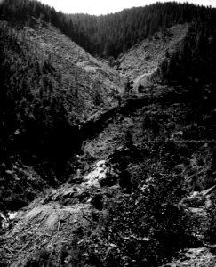 Willamette NF - Blue River Mines, Patented Claims, OR 1972 photo