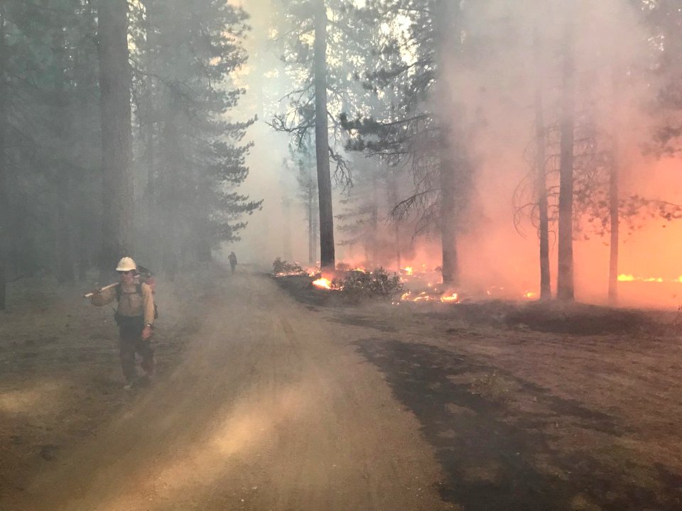 Timber Crater 6 Fire Control Ops