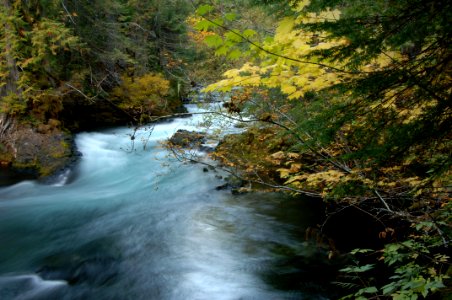 Fall Color above Sahalee Falls, Willamette National Forest photo