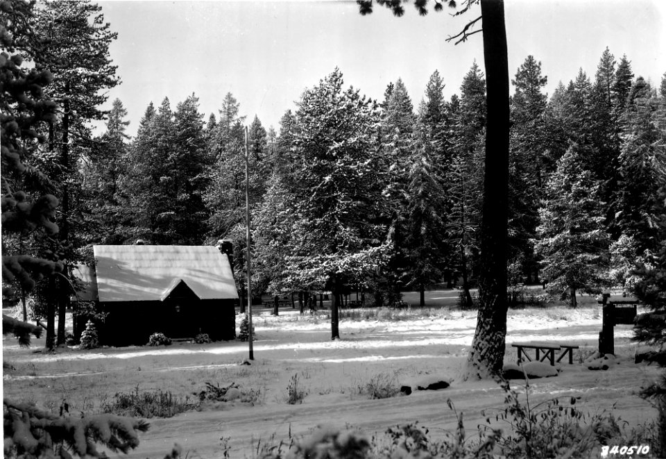 340510 Bear Springs GS, Mt Hood NF, OR 1935