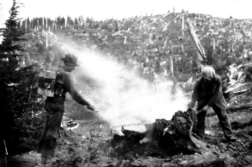 Willamette NF - Fire Fighting, OR c1937