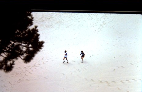 boys dunes running photo