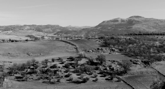 Ronda novembre 2017