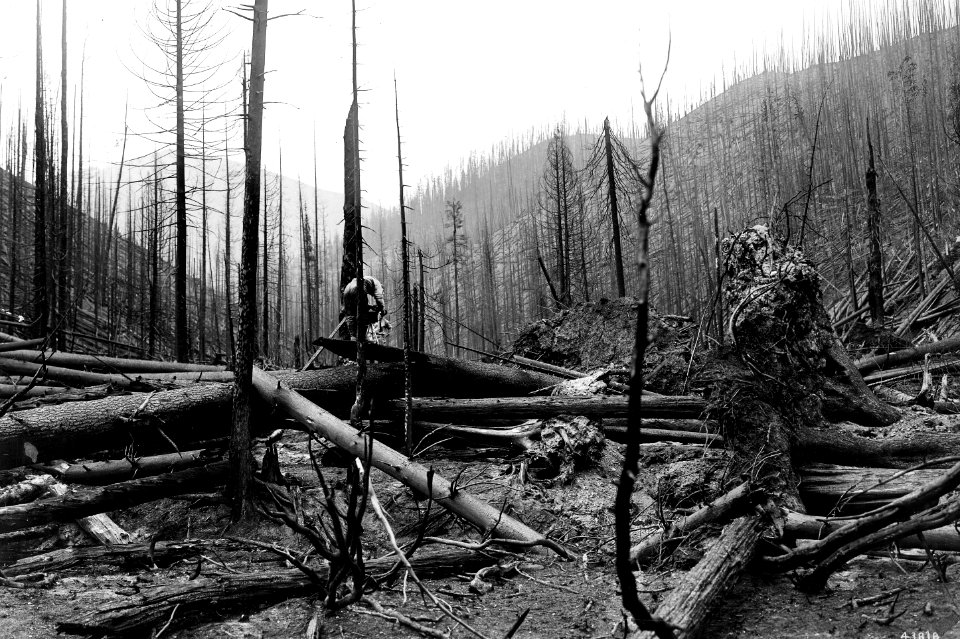 43818 Forest Fire Results Coeur d'Alene NF ID 1910
